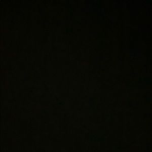 Meet your Posher, Riley